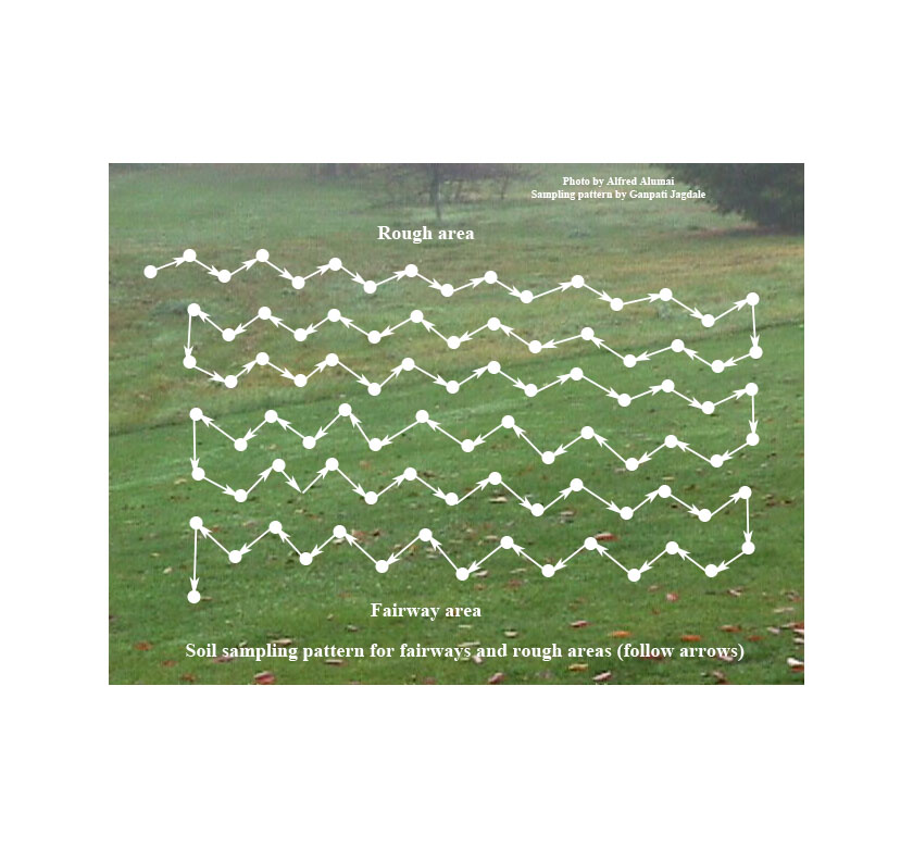 Zigzag rows of sampling pattern for fairways